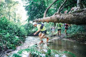 BIB: 
                            <button type="button" onclick="openModal(25441780)" class="btn btn-primary btn-sm float-right btn-popup" data-toggle="modal" data-target=".modal-high-quality">
                        <i class="fas fa-shopping-cart"></i> Add to Cart
                    </button>
                                            <button type="button" onclick="isThisMe(25441780, true)" class="btn btn-success btn-sm float-right btn-popup btn-isme hidden" data-toggle="tooltip" data-placement="bottom" title="นี่คือรูปของคุณใช่ไหม คลิกที่นี่เพื่อเอาเข้าอัลบั้ม">
                        <i class="fas fa-plus"></i> Add to album
                    </button>
                    <button type="button" onclick="isThisMe(25441780, false)" class="btn btn-warning btn-sm float-right btn-popup btn-isnotme hidden">
                        <i class="fas fa-ban"></i> Remove from album
                    </button>